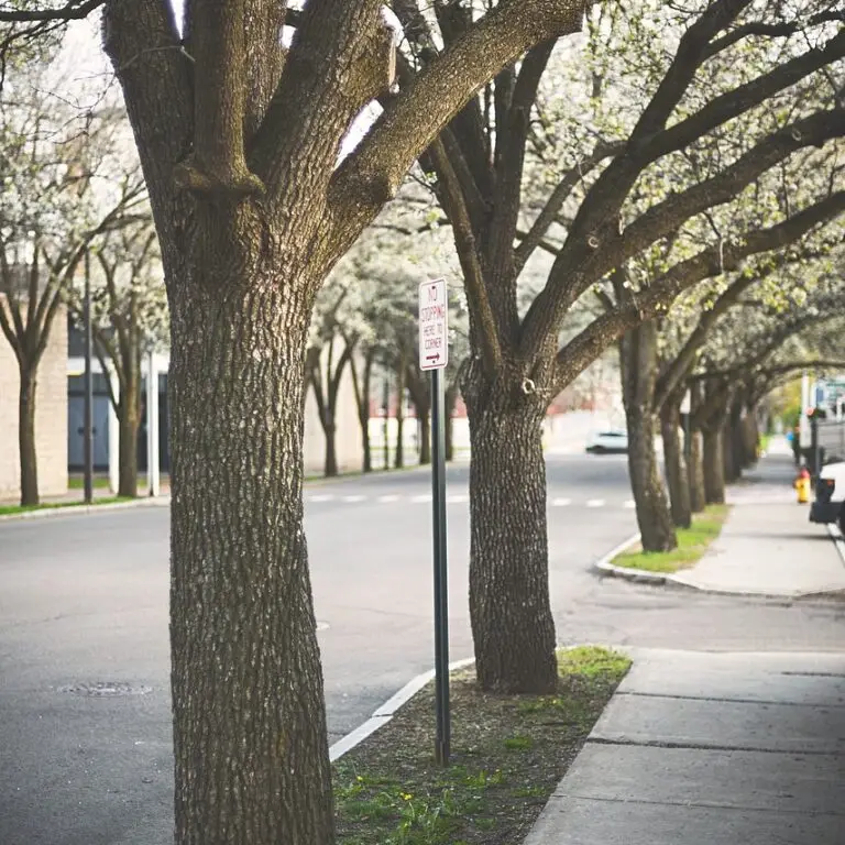 pavement, road, sidewalk-1839472.jpg