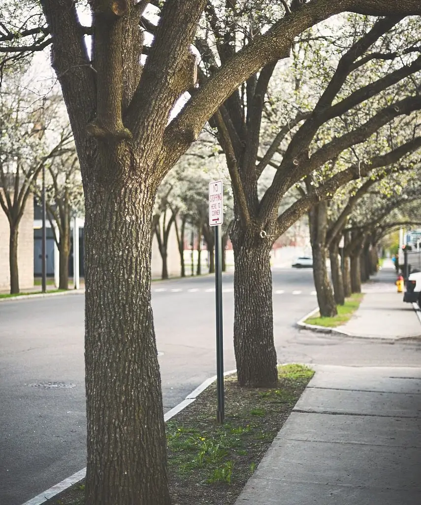 pavement, road, sidewalk-1839472.jpg